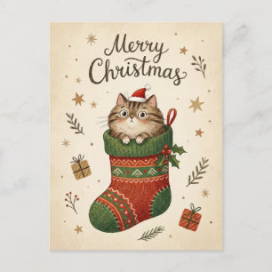 Carte Postale Chat de Noël dans une chaussette