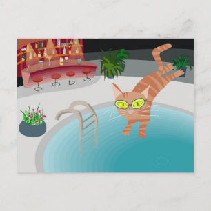 Carte Postale chat de piscine