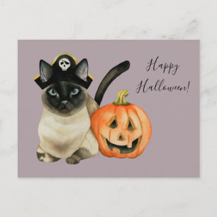 Carte Postale Chat de Siamese avec Casquette pirate Bonne Hall