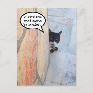 Carte Postale CHAT DÉTECTIF DERRIÈRE LE MUR DE PIERRE / Fête des
