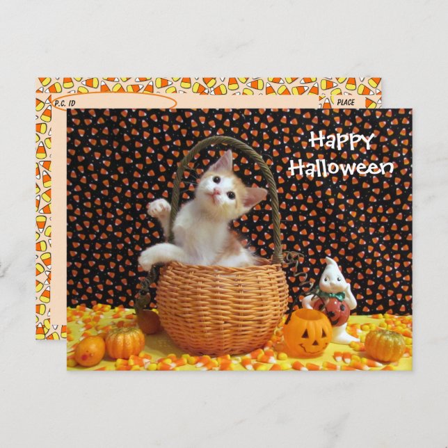 Carte Postale Chat d'Halloween d'Annie (Devant / Derrière)