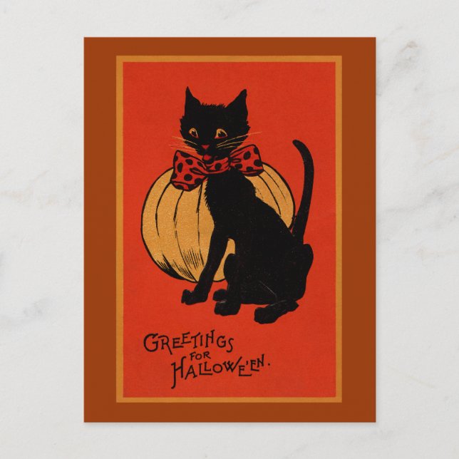 Carte Postale Chat d'Halloween et Citrouille (Devant)
