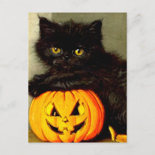 Carte Postale Chat d'Halloween vintage et lanterne Jack-o’