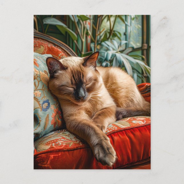 Carte Postale Chat dormant sur une chaise confortable (Devant)