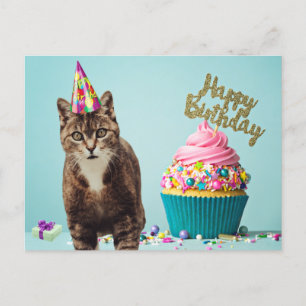 Carte Postale Chat drôle de joyeux anniversaire avec cupcake