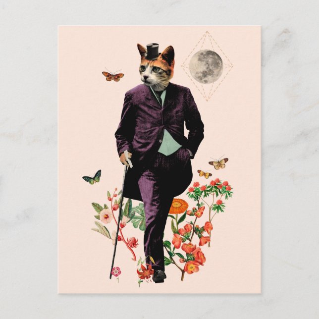 Carte Postale Chat drôle et élégant (Devant)