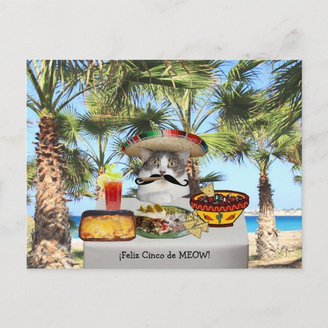Carte Postale Chat drôle Happy Cinco de Mayo (Devant)