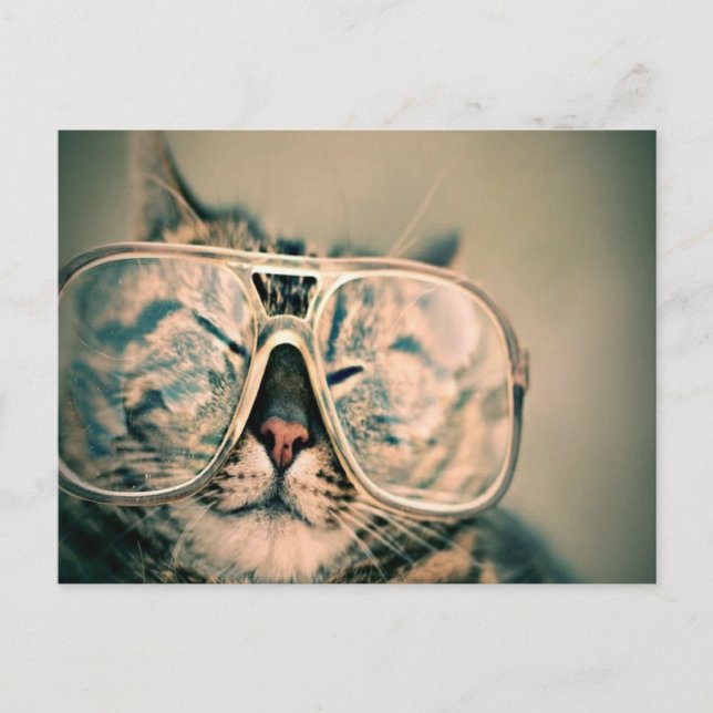 Carte Postale Chat drôle portant des lunettes (Devant)