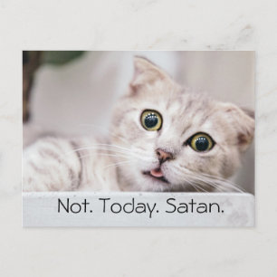 Carte Postale Chat Drôle Texte