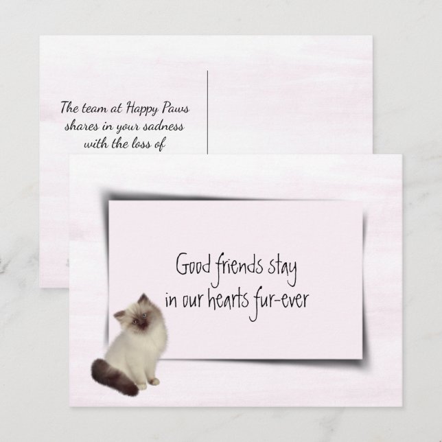 Carte Postale Chat en chiffon Sympathie pour animal de compagnie (Devant / Derrière)