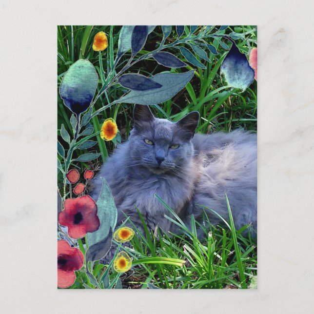 Carte Postale Chat en Fluffy Gris en Jardin avec Fleurs (Devant)