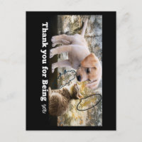Chat et chien avec le texte merci