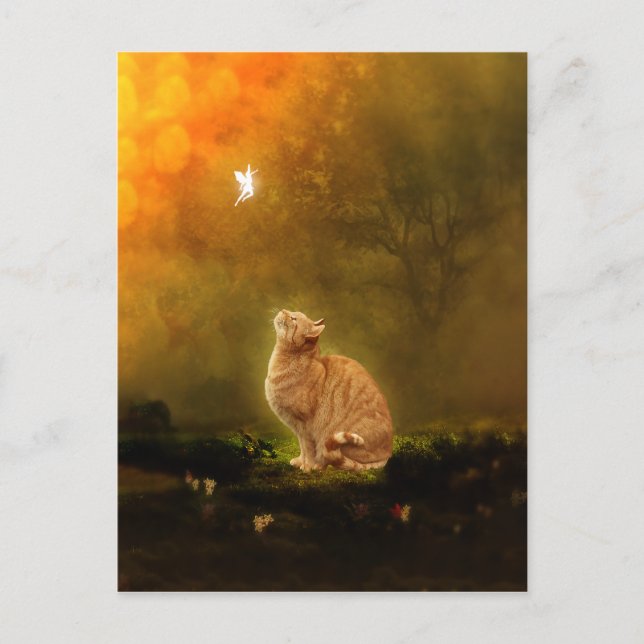 Carte Postale Chat et fée (Devant)