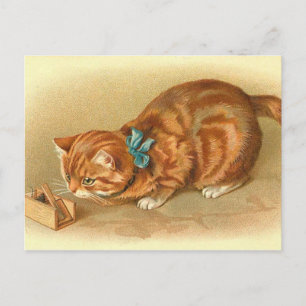 Carte postale "Chat et souris"