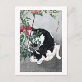 Carte Postale Chat et tomate, Takahashi Shotei