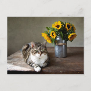 Carte Postale Chat et tournesols
