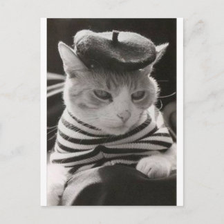 Carte Postale chat français vintage