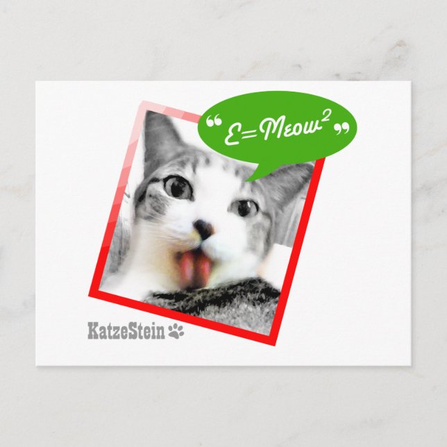 Carte Postale chat futé (Devant)