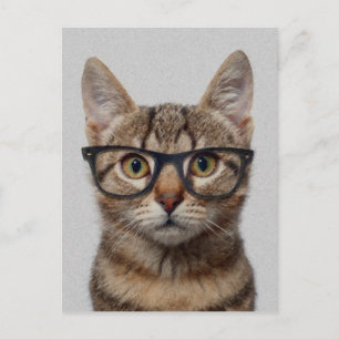 Carte Postale Chat geek