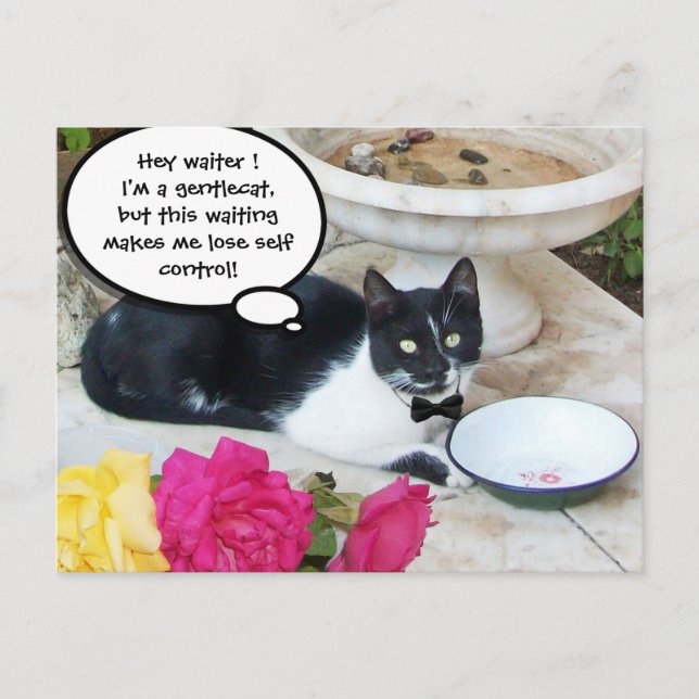 Carte Postale CHAT GENTIL DANS LE RESTAURANT Joyeux anniversaire (Devant)