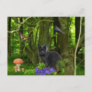 Carte Postale Chat gris dans la forêt