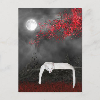 Carte Postale Chat Halloween blanc