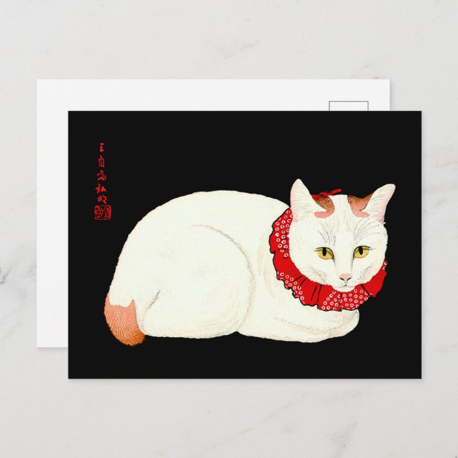 Carte Postale Chat japonais blanc et gingembre (Devant / Derrière)