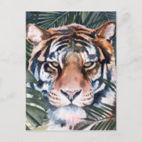 Chat Jungle - Tigre
