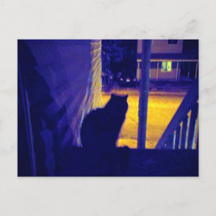 Carte postale : Chat la nuit dans l'ancien quartie