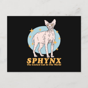 Carte Postale Chat le plus froid de Sphynx   Chats Sphynx