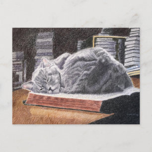 Carte Postale Chat Librairie