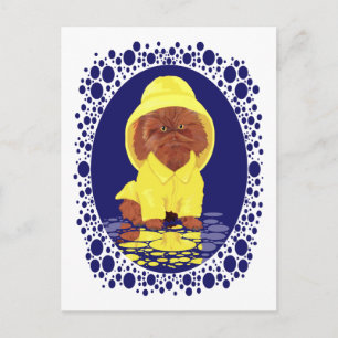 Carte Postale Chat Longhair Perse Rouge Douches d'avril