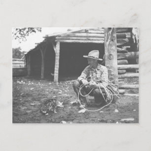 Carte Postale Chat mangeant dans une boîte de café.