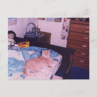 Carte Postale Chat mellow sur un lit