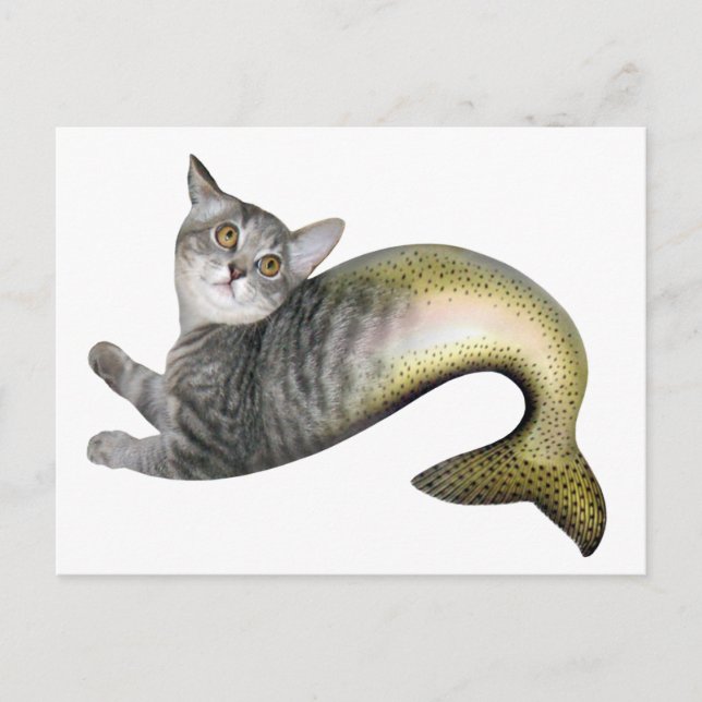 Carte Postale Chat Mermaid (Devant)