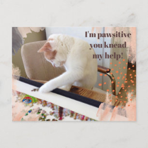 Carte Postale Chat mignon "Je suis pawsitive que vous pétrissiez