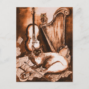 Carte Postale CHAT MUSICAL ET OWL, Brown et blanc