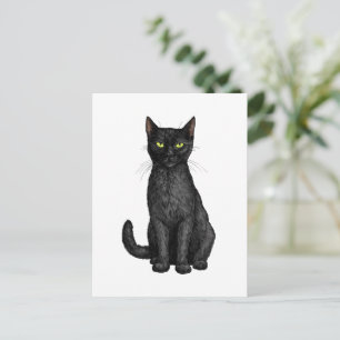 Carte Postale chat noir
