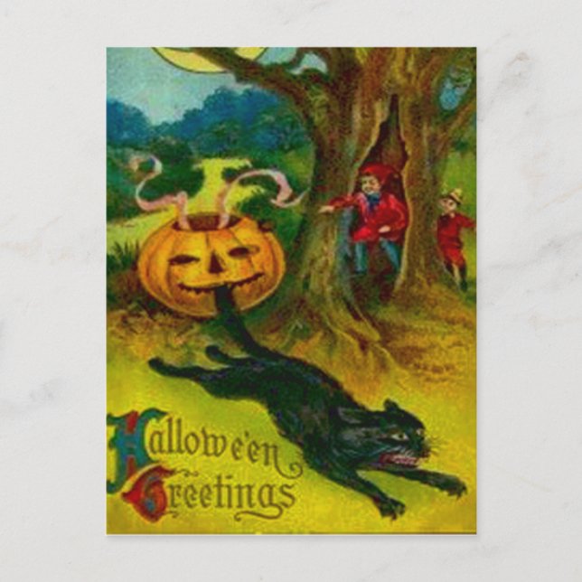 Carte Postale Chat noir (Devant)