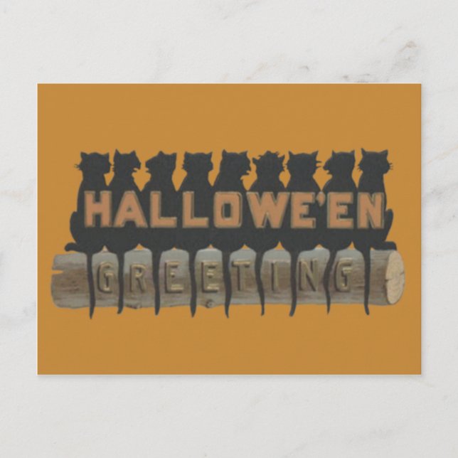 Carte Postale Chat Noir Assis Sur L'Ombre Du Journal (Devant)