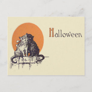Carte Postale Chat noir blanc Chat Pleine lune Romance