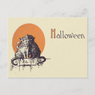 Carte Postale Chat noir chat blanc romance pleine lune
