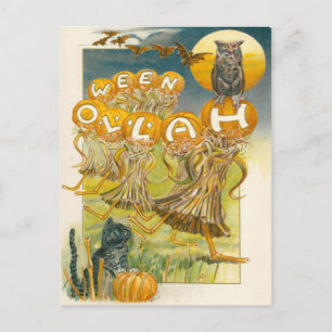 Carte Postale Chat Noir Citrouille Hibou Chauve-Souris Lune