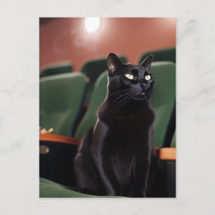 Carte Postale Chat noir dans un théâtre