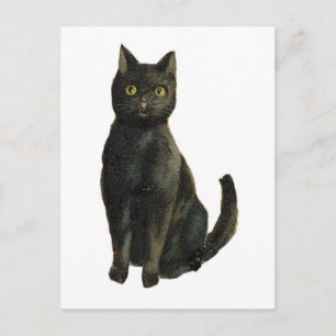 Carte Postale Chat noir d'Halloween à l'ancienne