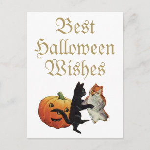 Carte Postale Chat noir d'Halloween, hibou et Citrouille