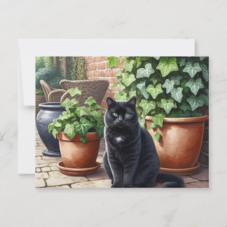 Carte Postale Chat noir en Amoureux de les chats de jardin