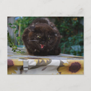 Carte Postale Chat noir en colère