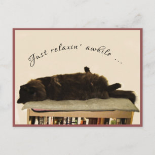 Carte Postale Chat noir en vacances