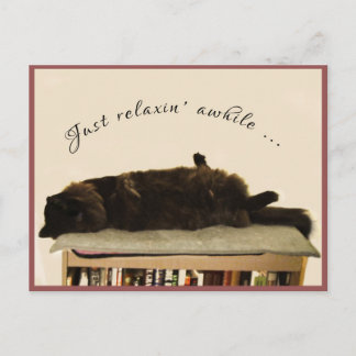 Carte Postale Chat noir en vacances